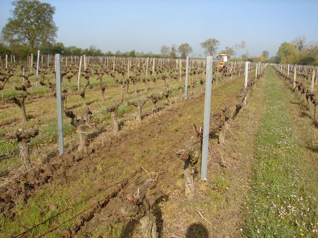 M&eacute;thode culturale